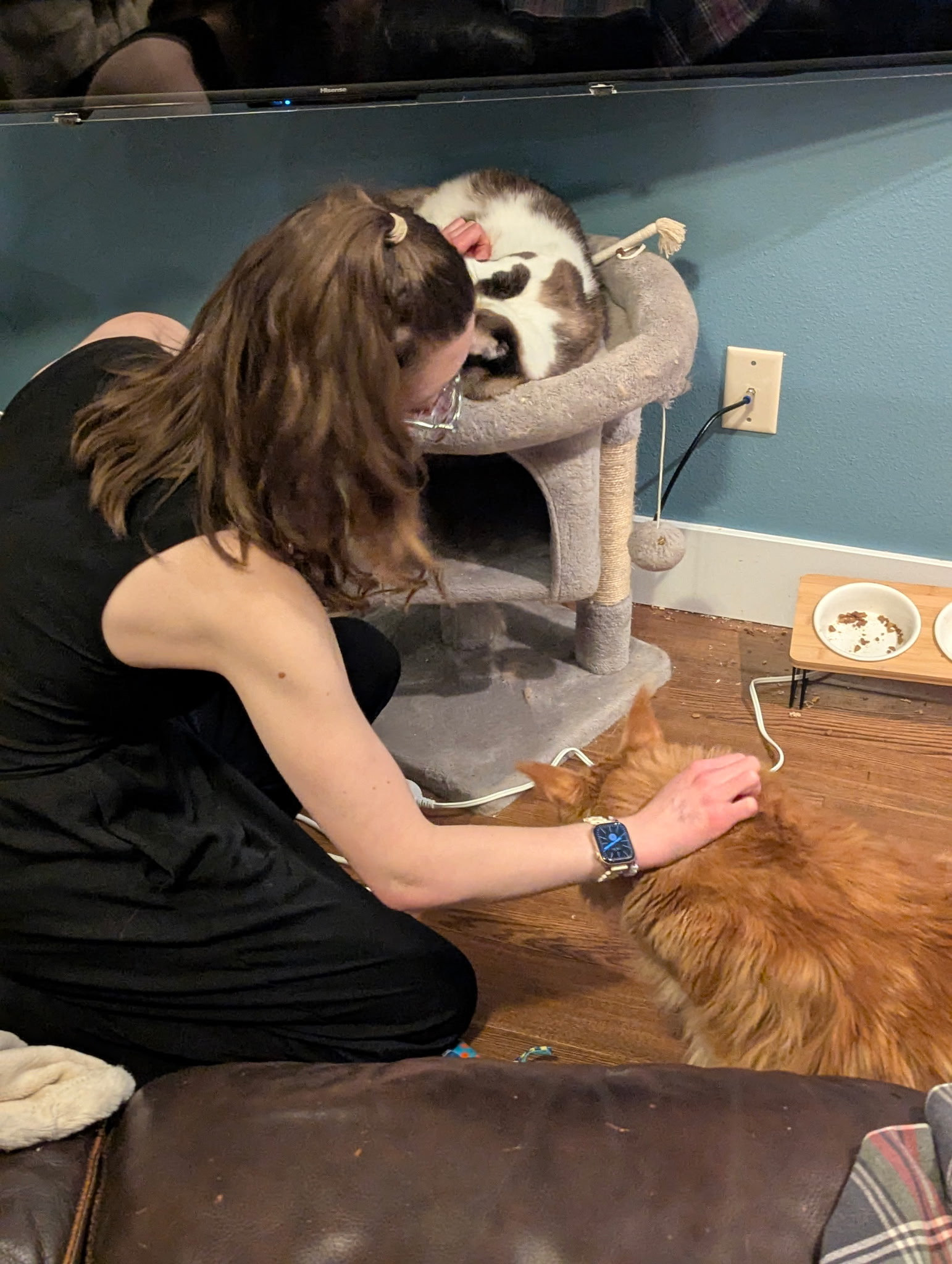 Fi with cats